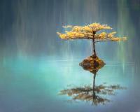 FundamentalsOfZen