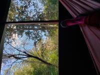 KomeraHammock1jpg